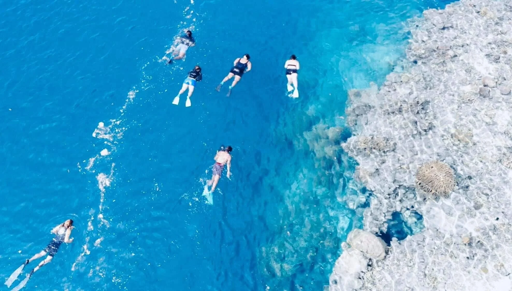 Ariki Adventures Turtle Tour.jpg