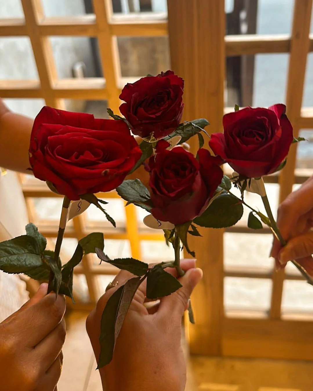 Monday romance hits different 🌹🍣⁠