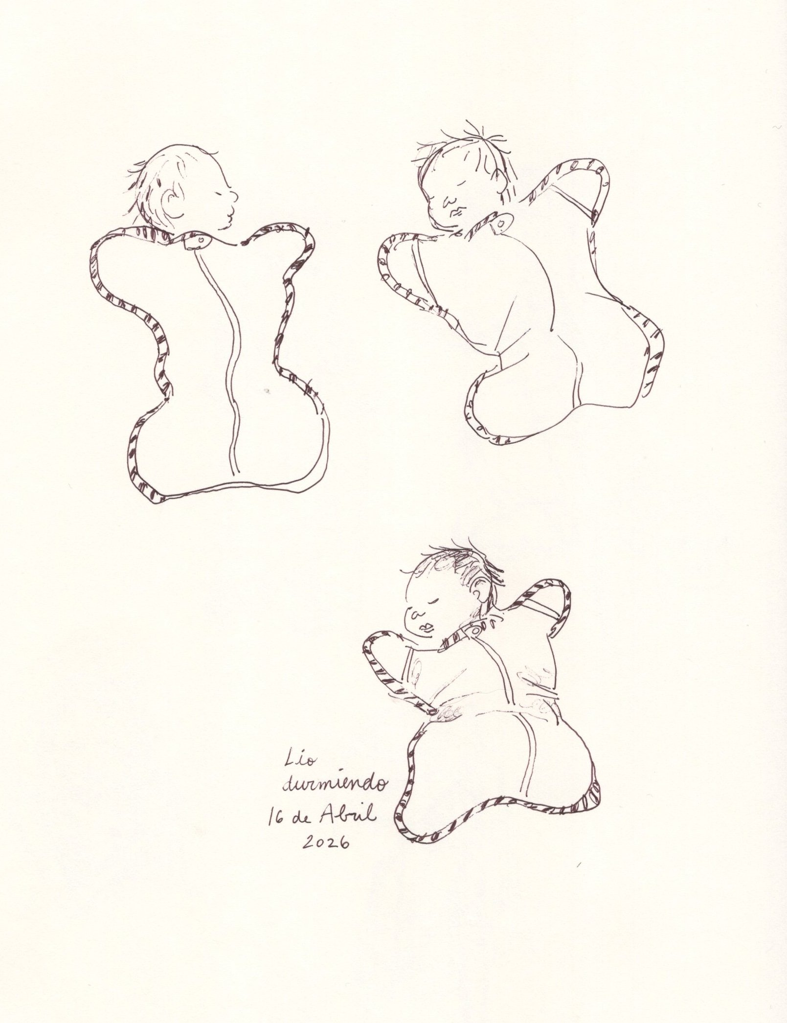 Lio_03_JanetR_2026.jpg