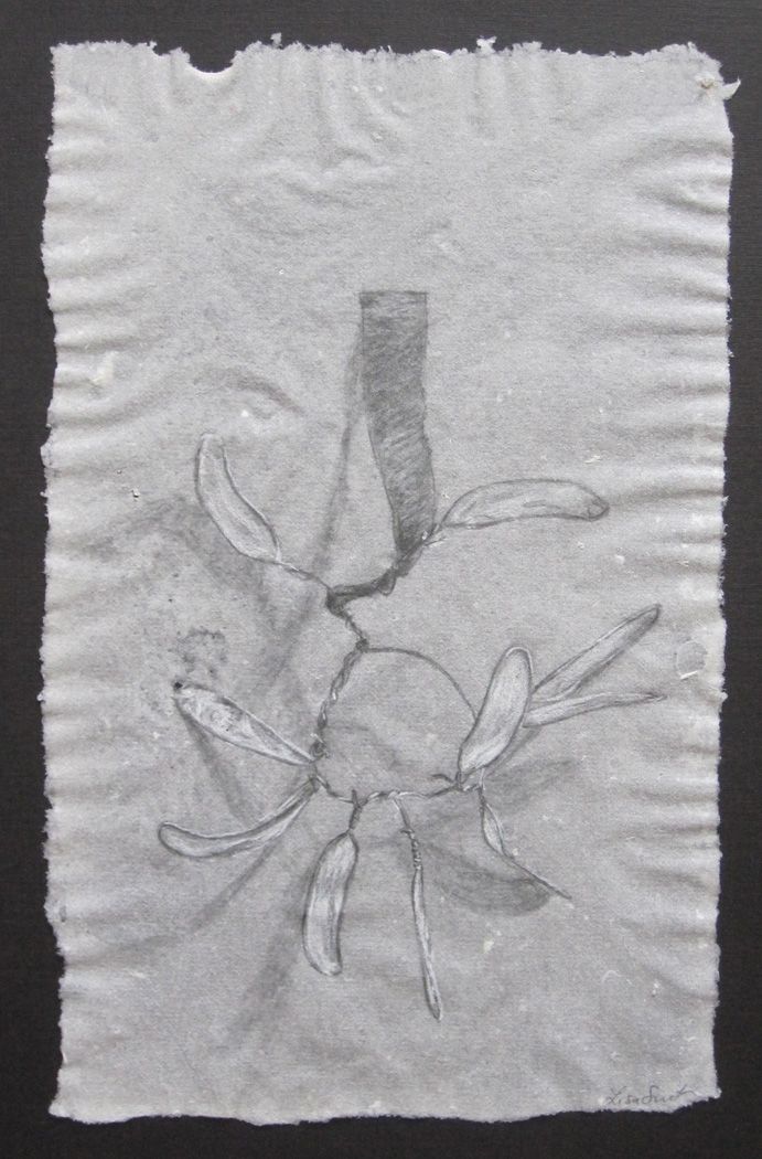   Petals , 2011,&nbsp;pencil and white charcoal on handmade abaca paper, 8" x 5" 
