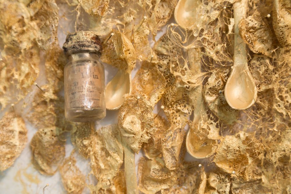   Hybrid (gold) , 2017, handmade paper, found objects: cocoons, hairnets, gold pigment, rawhide bones, wire armature, 60” x 120”  