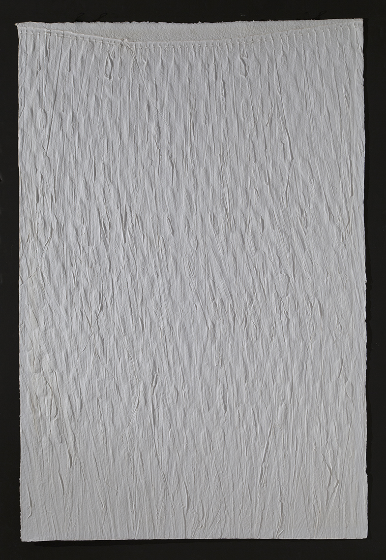   Palm print &nbsp; in reverse,&nbsp; 2016, cast cotton paper, 60" x 40" 