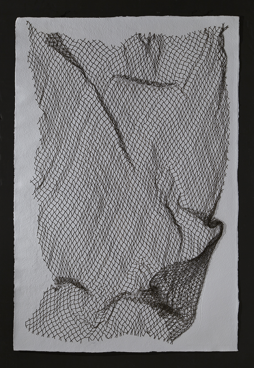   Net, &nbsp;2016, cotton paper with nylon net, 60" x 40" 