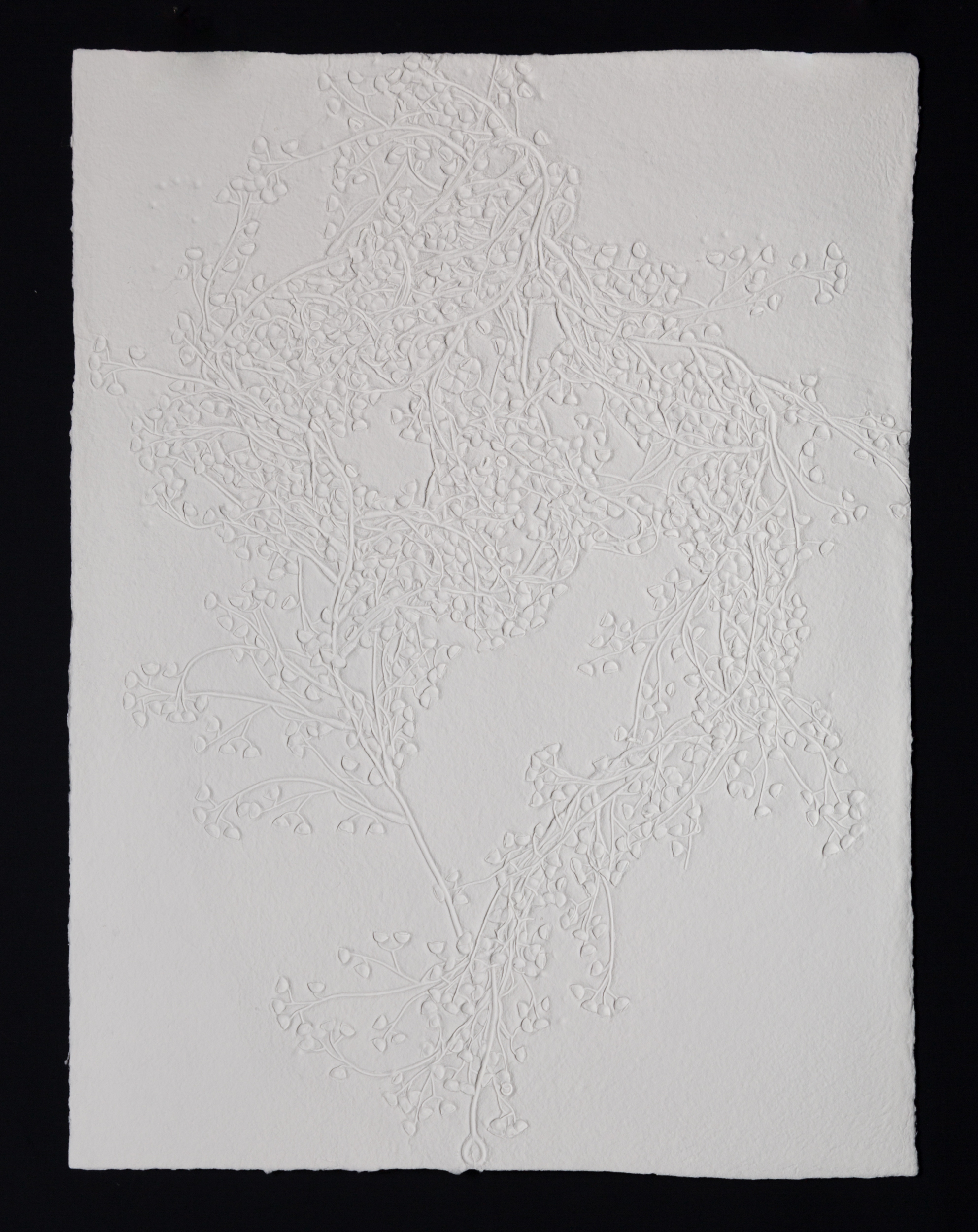   Spores , 2017, cast cotton paper, 30" x 22" 