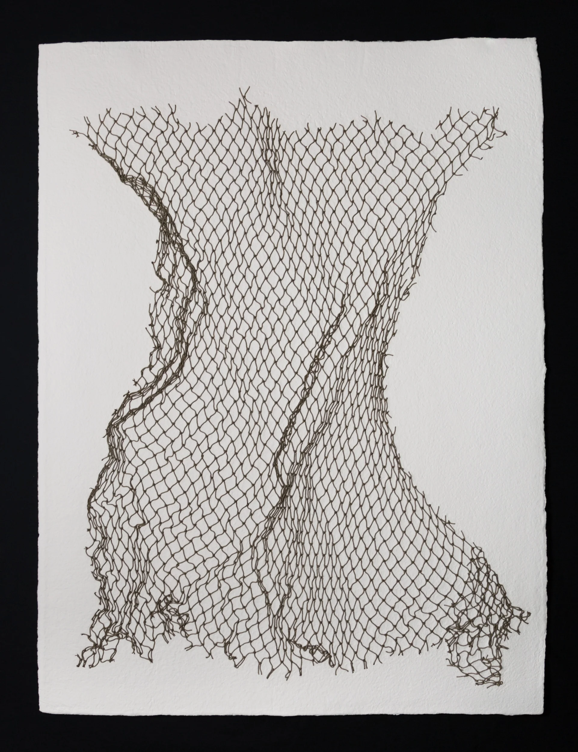 Net II , 2017, cotton paper and nylon net, 40" x 30"