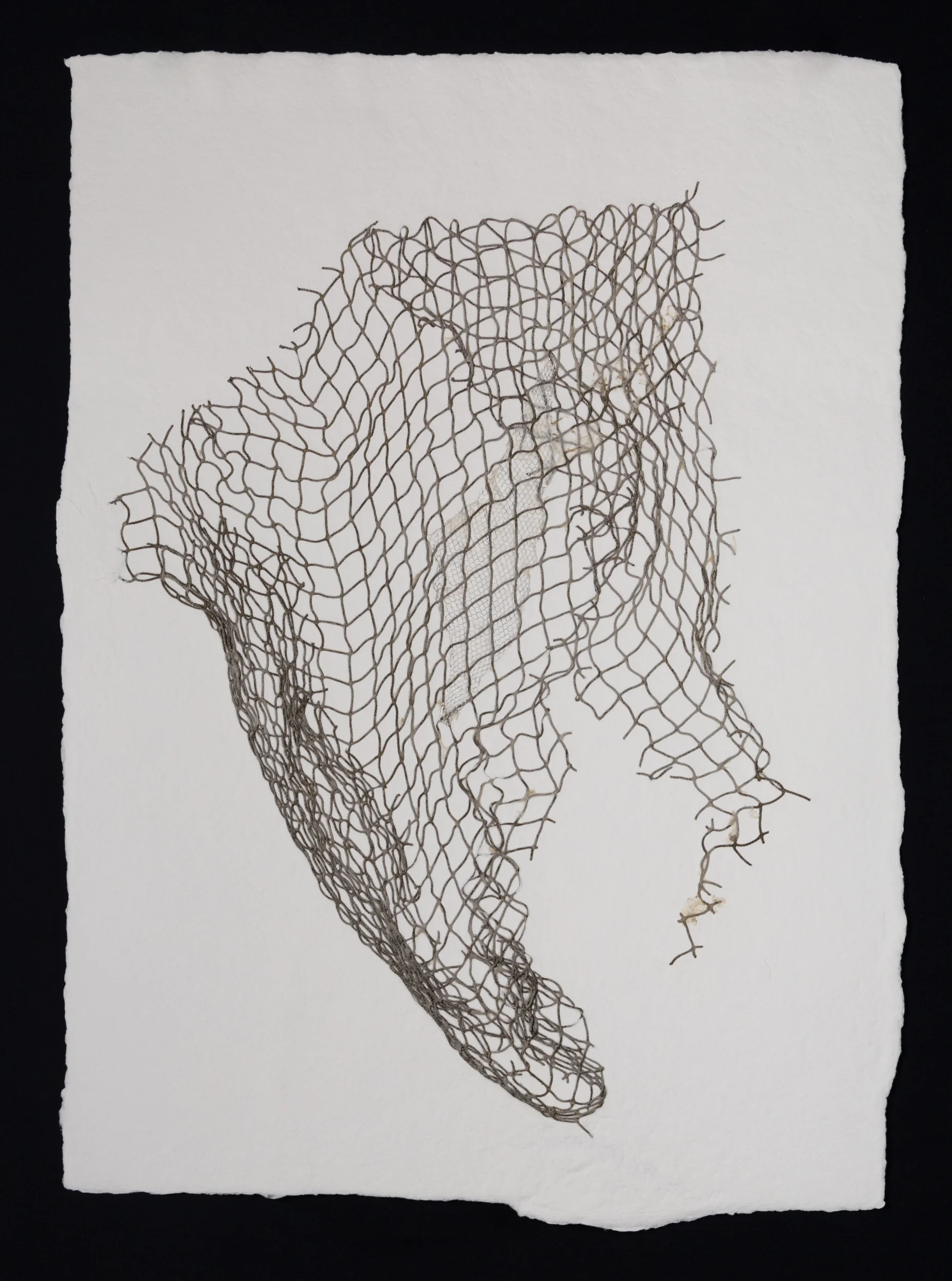 Net III , 2017, cotton paper and nylon net, 30" x 22"