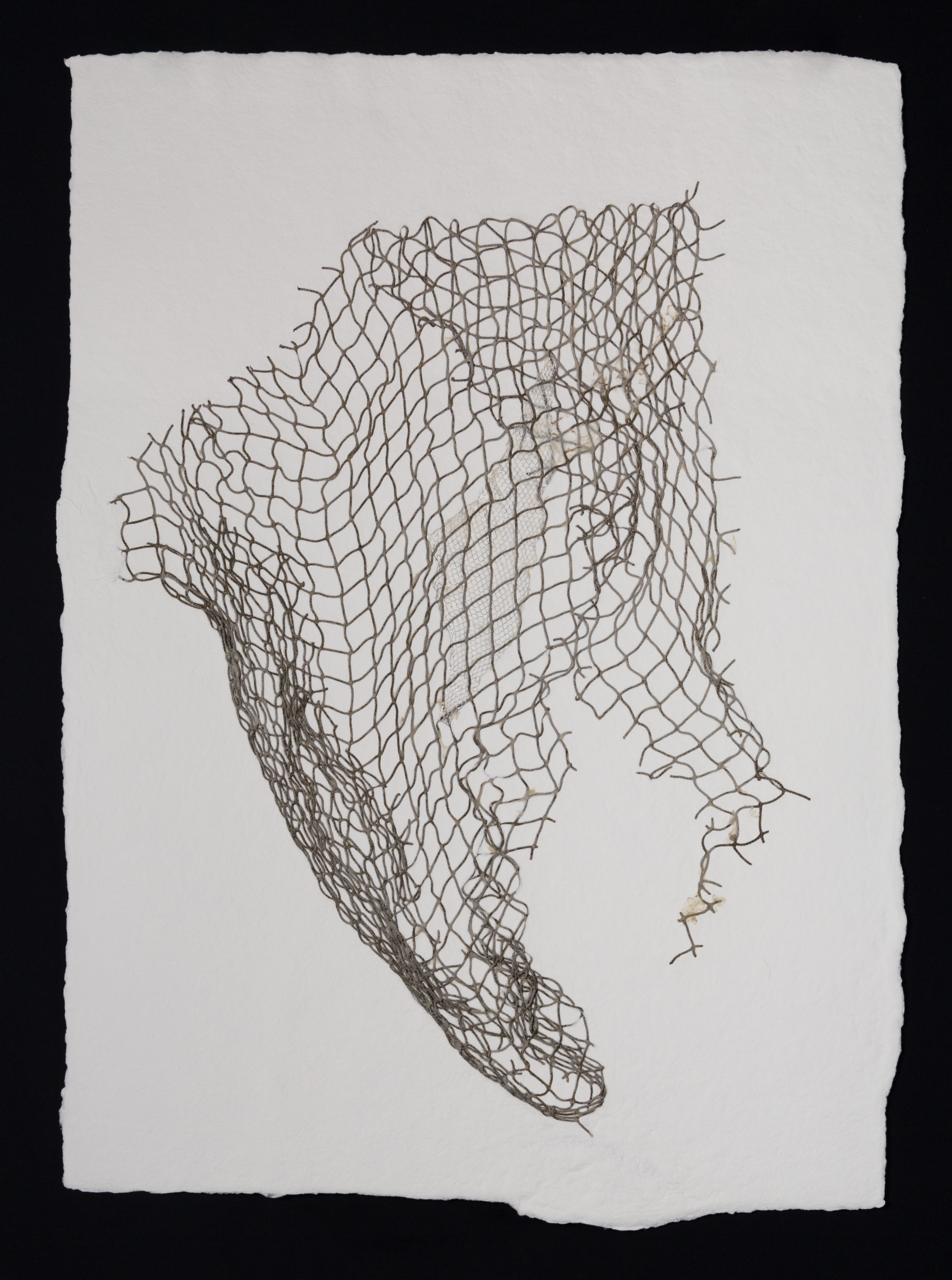   Net III , 2017, cotton paper and nylon net, 30" x 22" 