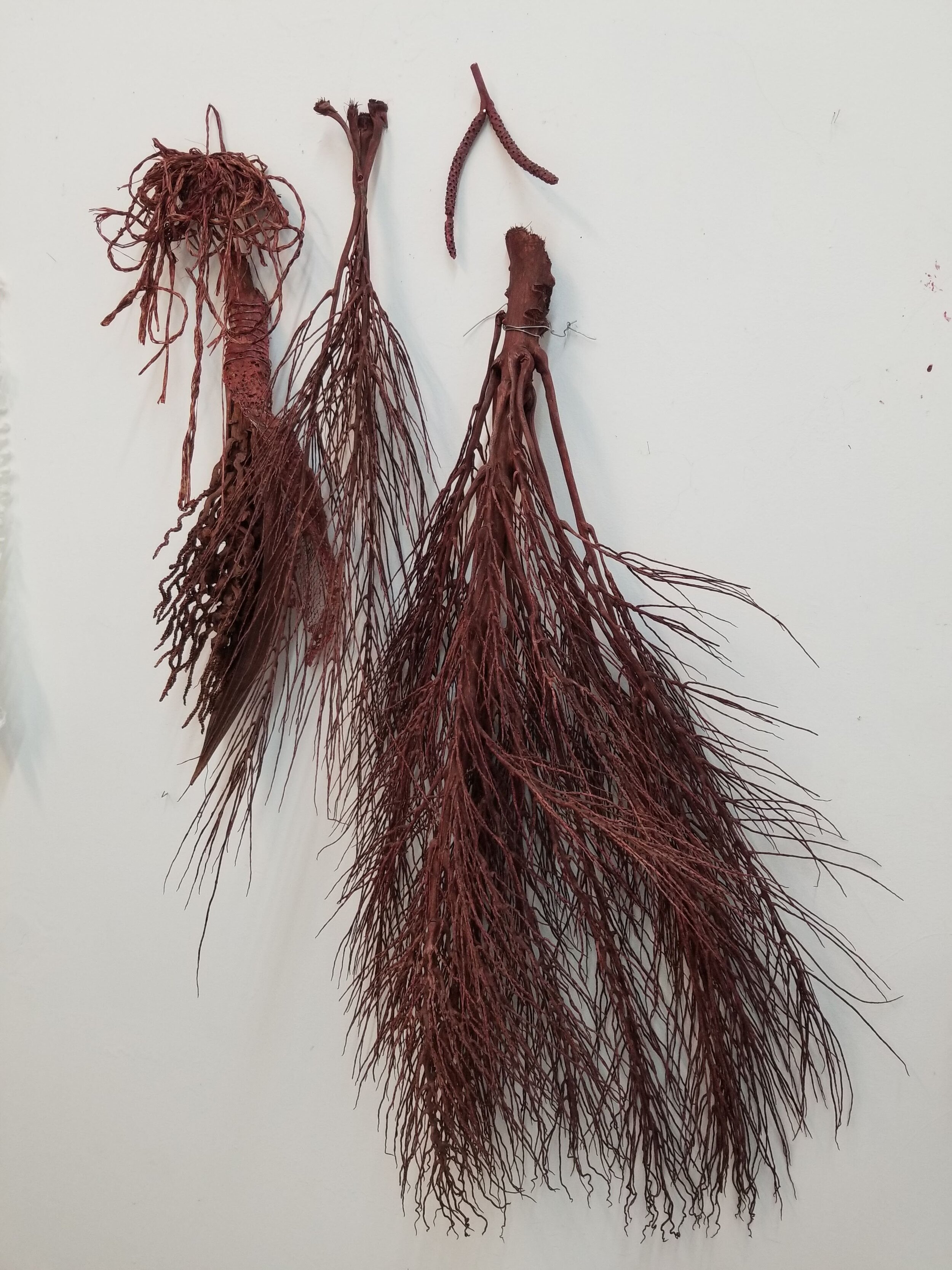   Reminder , 2018, palm tree parts, raffia, dye, dimensions variable  