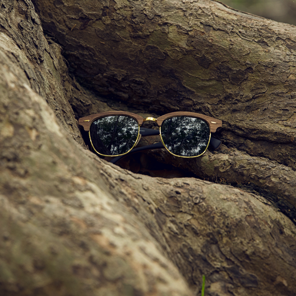 rayban-clubmaster-rb3016-sunglasses-wood-tree-outdoors-earth-day-bb.jpg