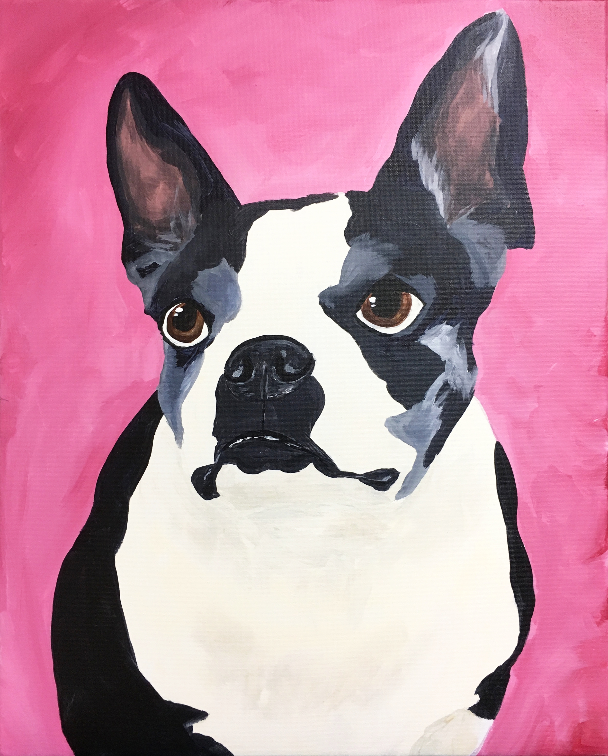 PYOP-BostonTerrier-crop.jpg