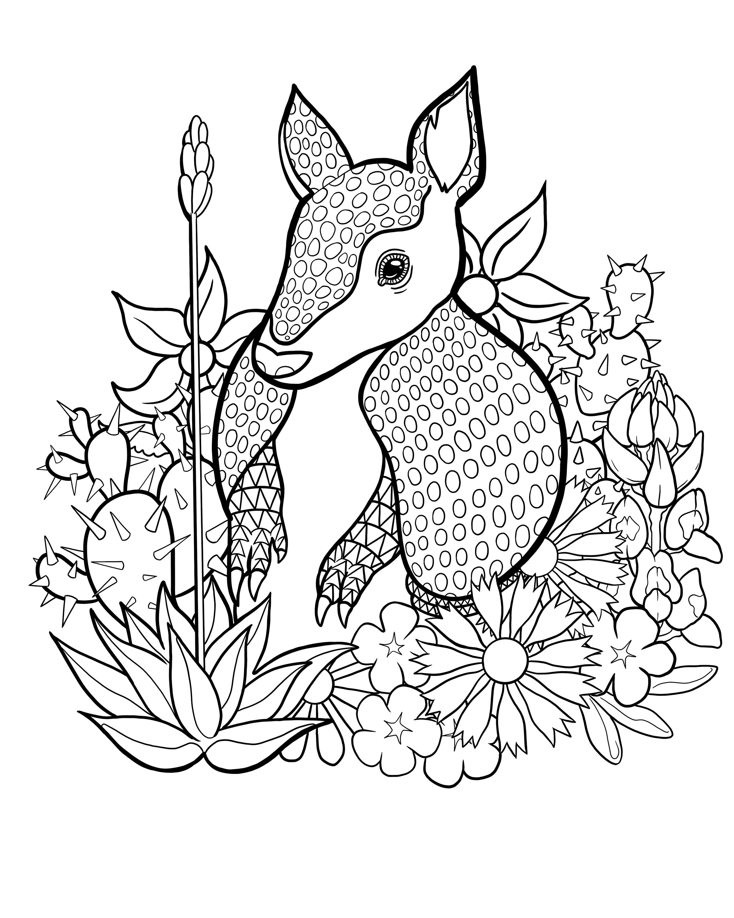 Armadillo-AustinChronicleColoringBook.jpg