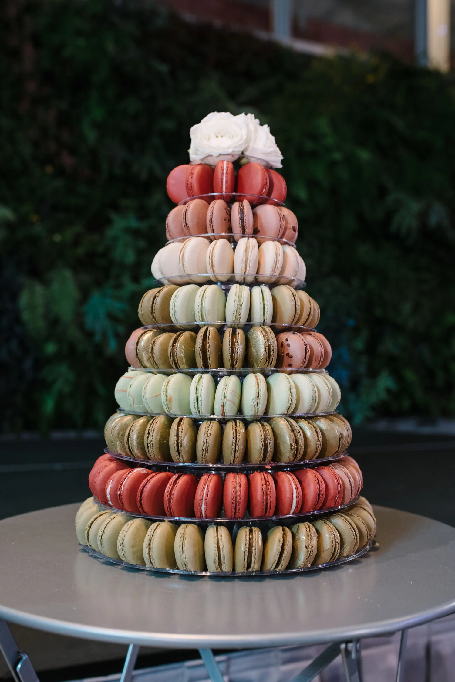 The-Poppy-Group_California-Academy-of-Sciences_17.jpg