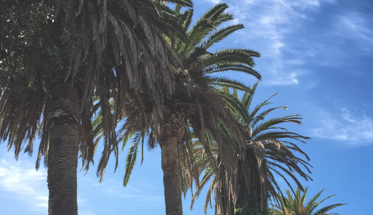 Los Angeles by Atif Ateeq-2