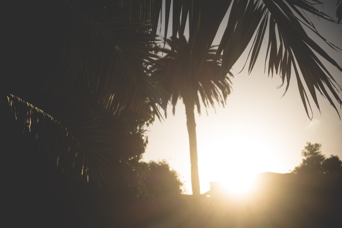 Los Angeles by Atif Ateeq-11