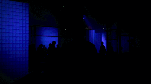 4.gif