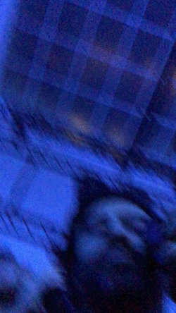 5.gif