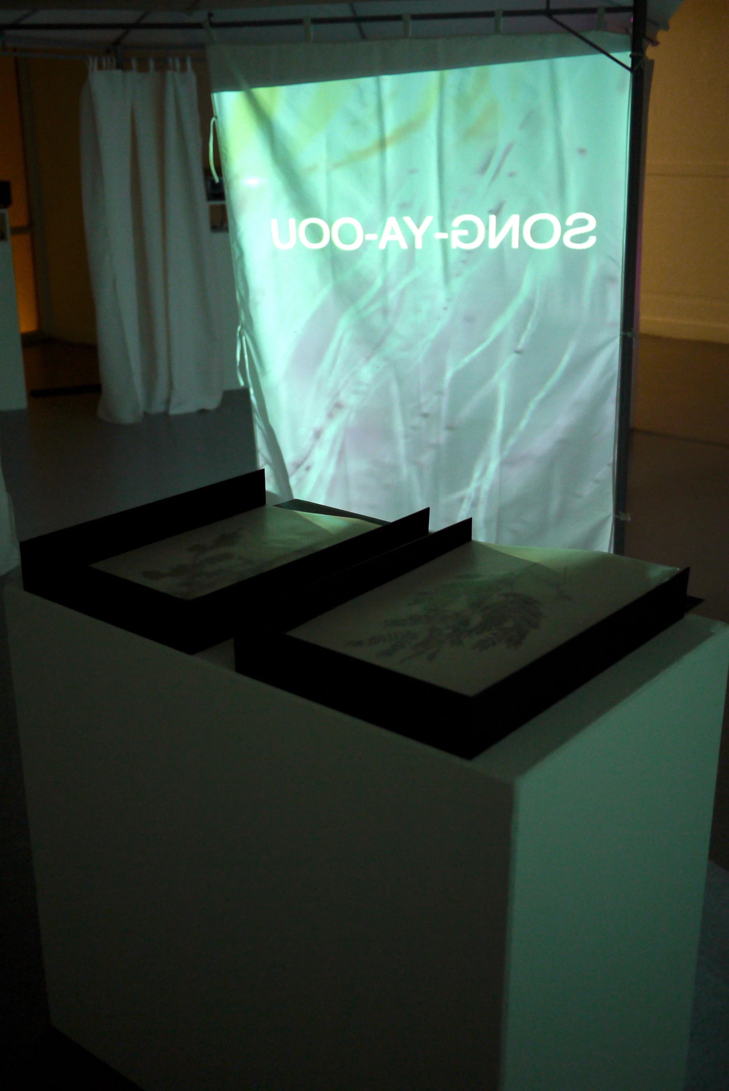 P1170459.JPG