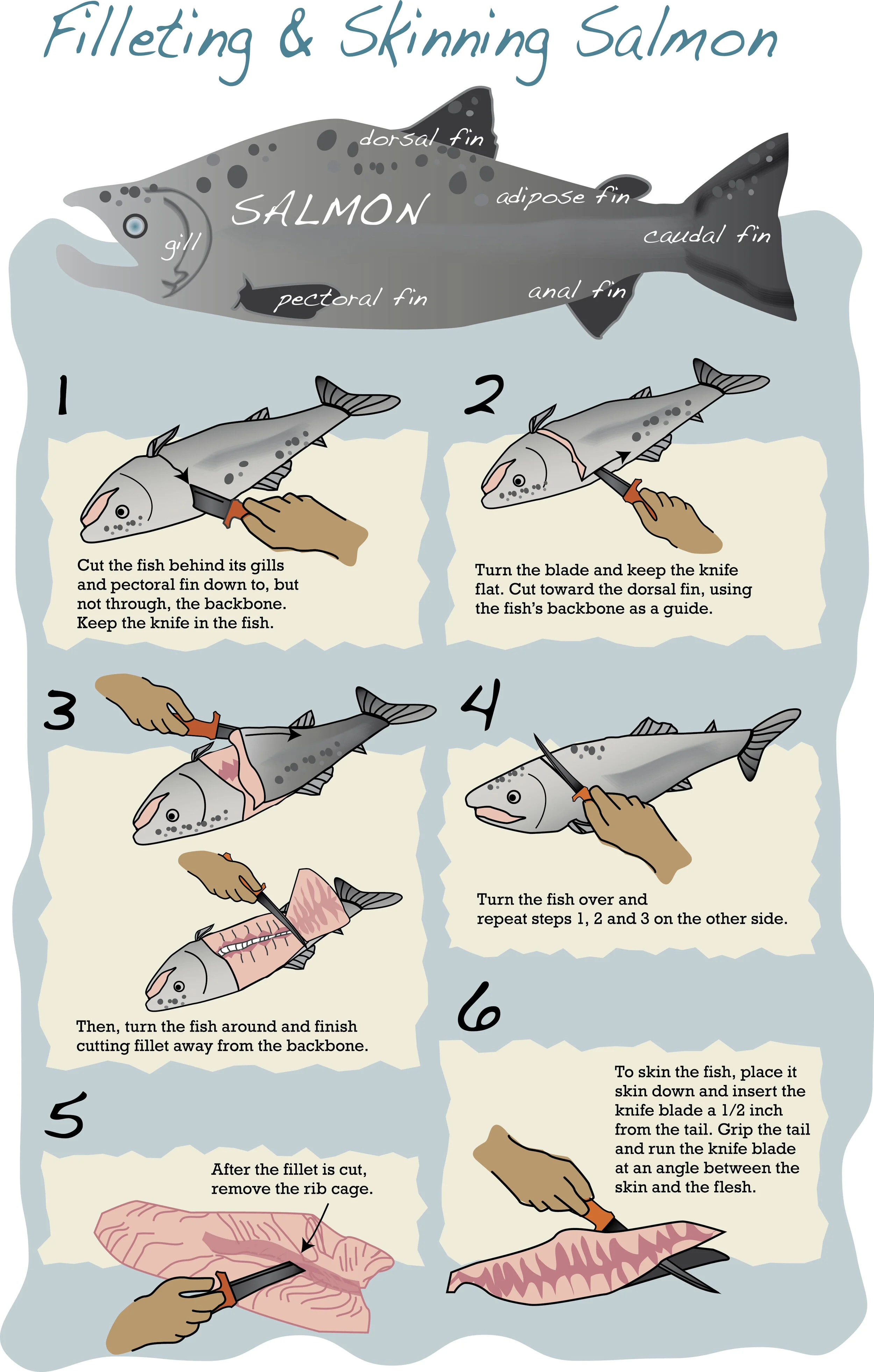salmon_jpg.jpg