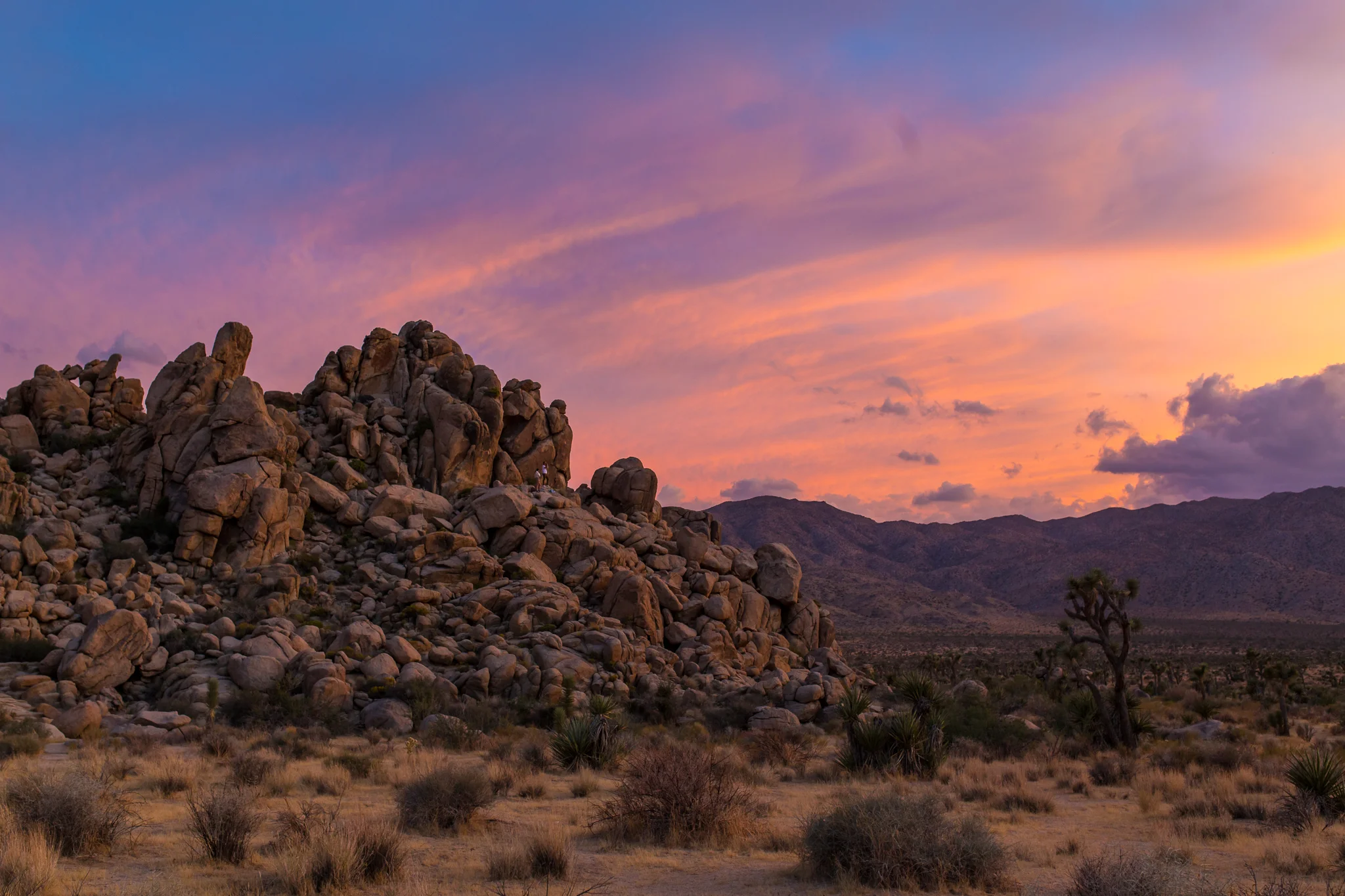 Oct01_JoshuaTree_3783.jpg