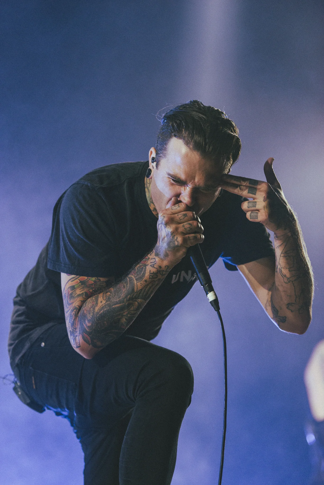 The Amity Affliction a2 now a3.jpg