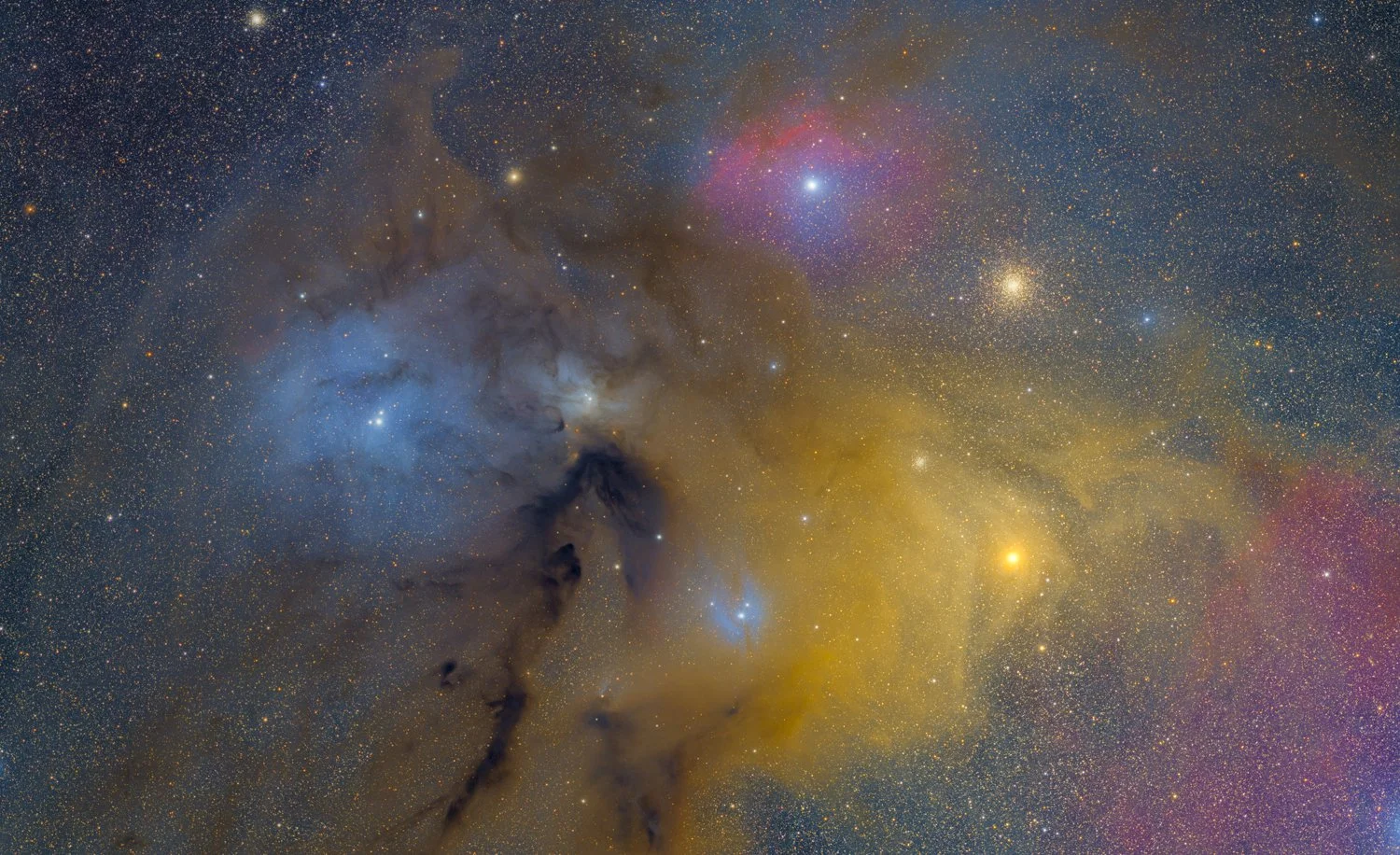 Rho Opiuchi 60 Hours Mosaic 2025.jpg