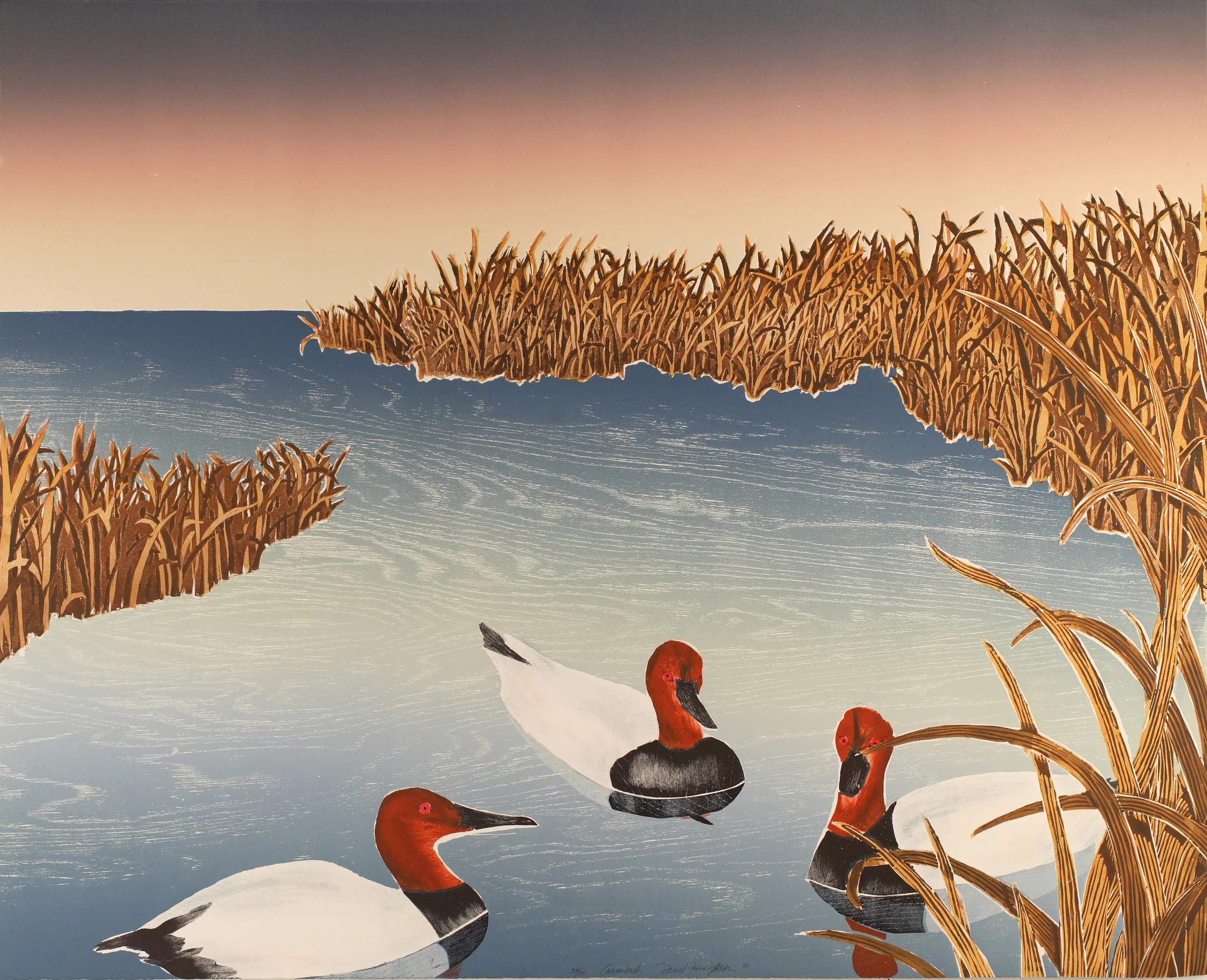 Duck Pond