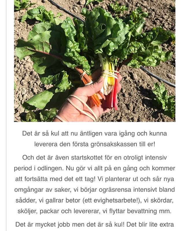 Imorgon levererar vi de f&ouml;rsta gr&ouml;nsakskassarna! Du som &auml;r andels&auml;gare ska ha f&aring;tt ett mejl i inkorgen om detta ig&aring;r! 
Om du inte har sett n&aring;got mejl ber vi dig att kolla i kampanjer eller skr&auml;ppost. Om du i