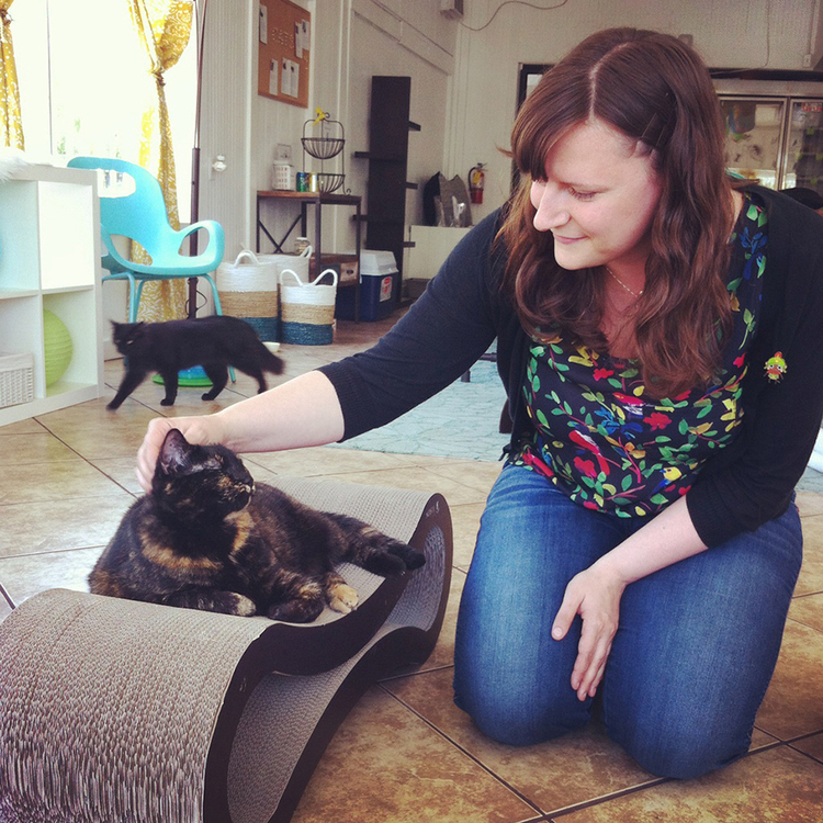 The Ultimate North American West Coast Cat Cafe Road Trip