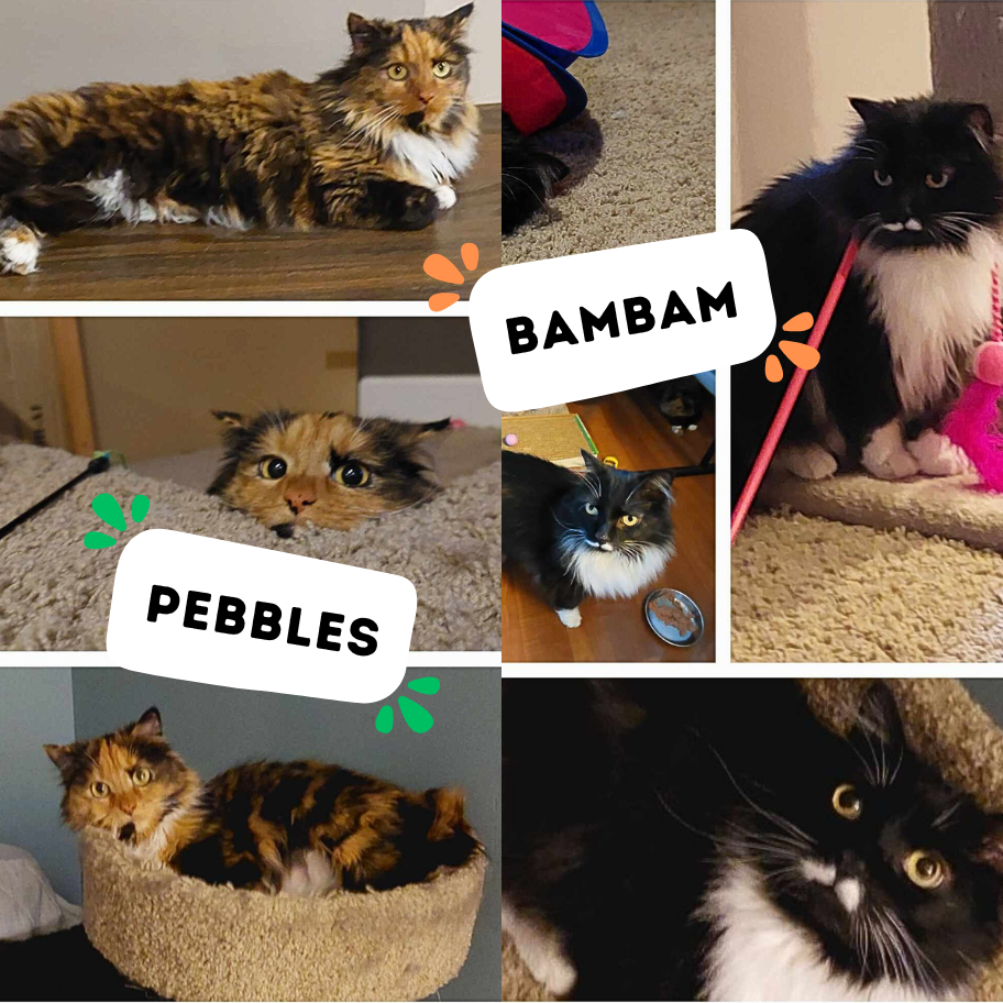 PEBBLES &amp; BAM BAM