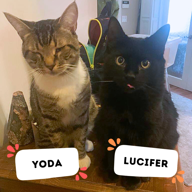 YODA &amp; LUCIFER