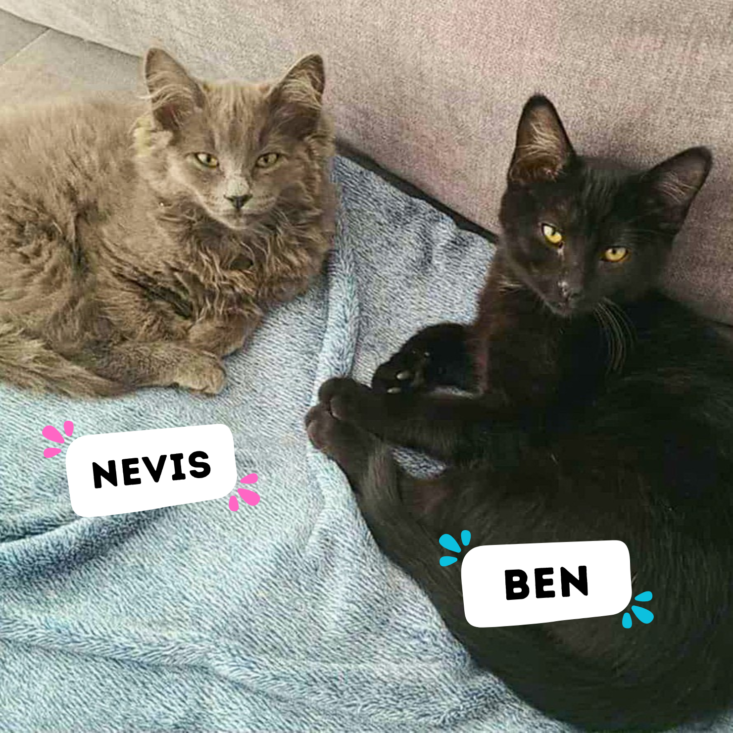 BEN & NEVIS