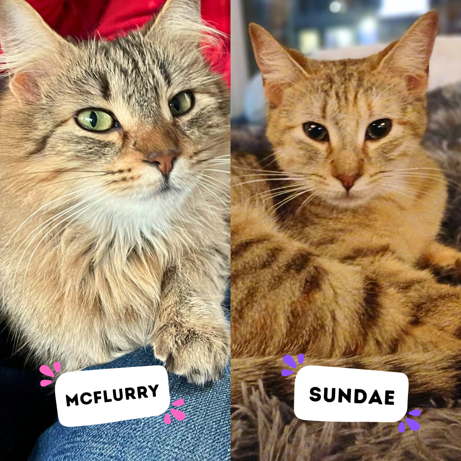 MCFLURRY &amp; SUNDAE