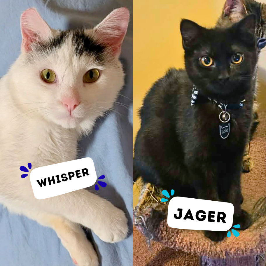 WHISPER &amp; JAGER