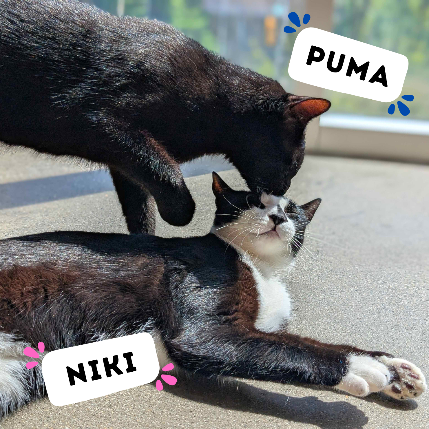 NIKI &amp; PUMA