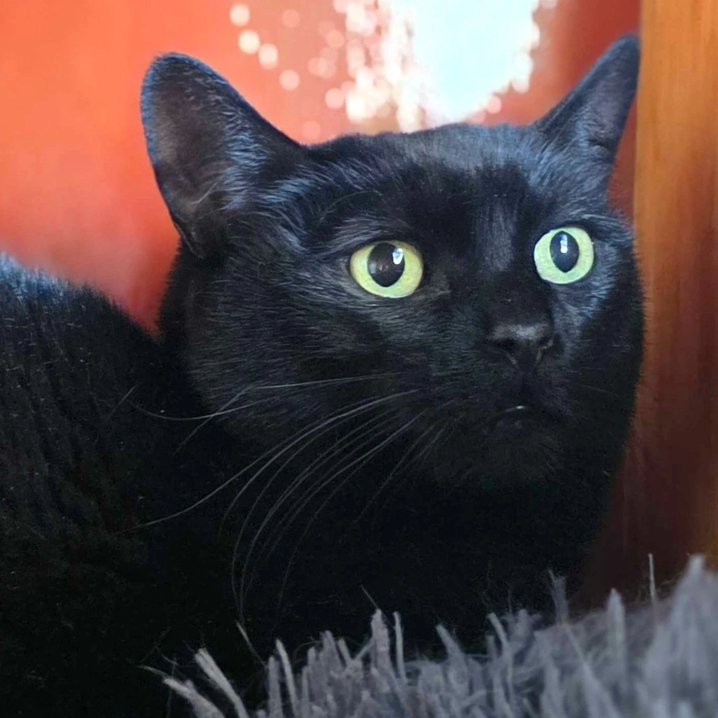 SALEM