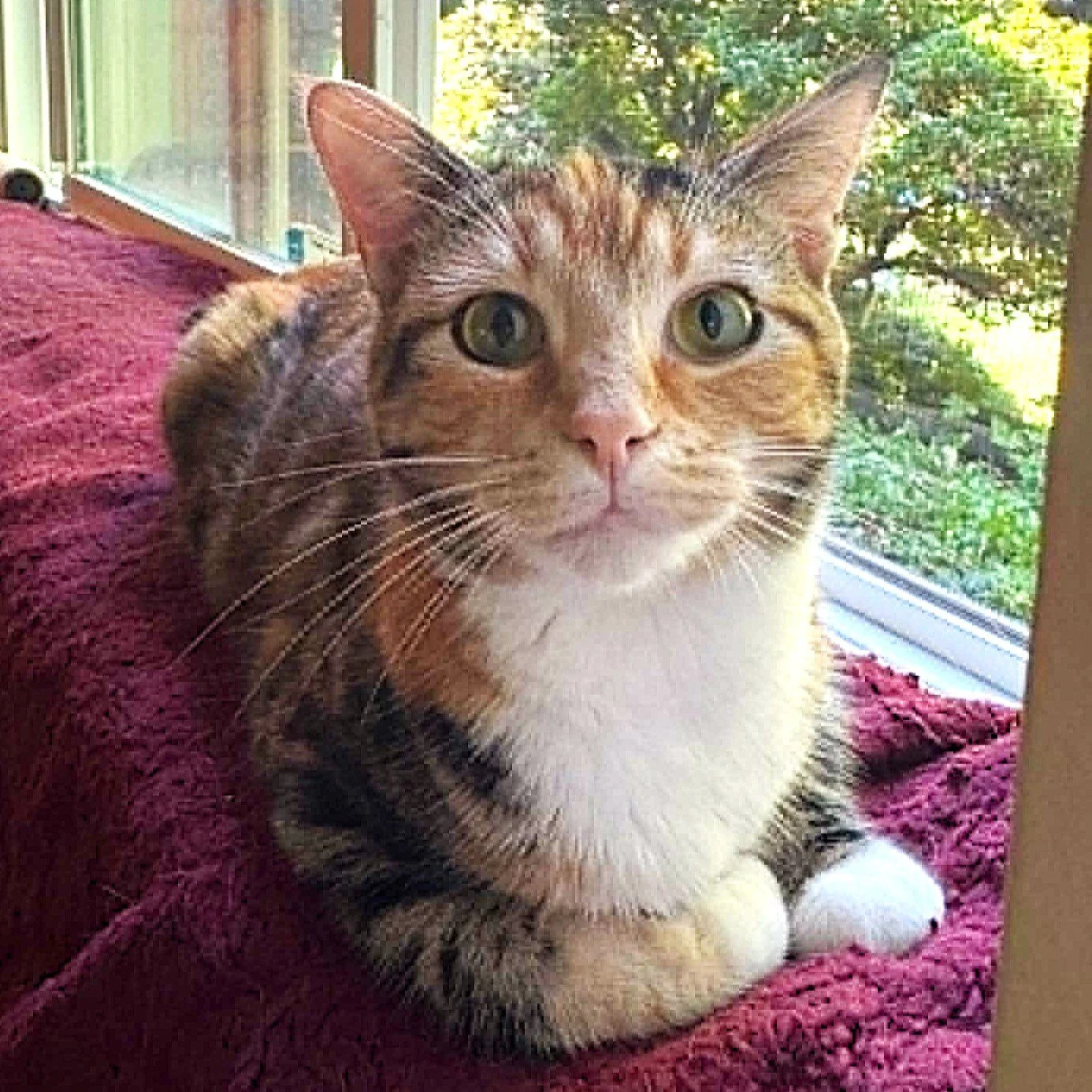 MARABELLE