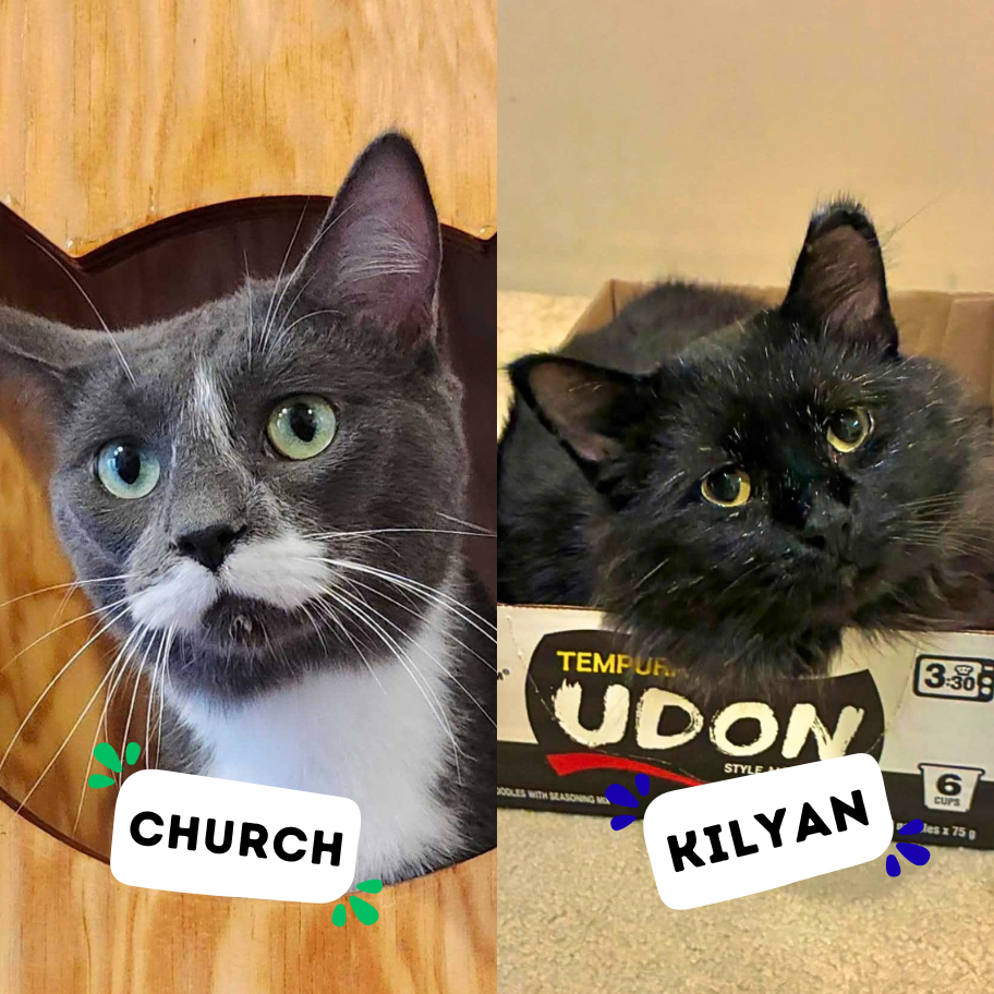 CHURCH &amp; KILYAN