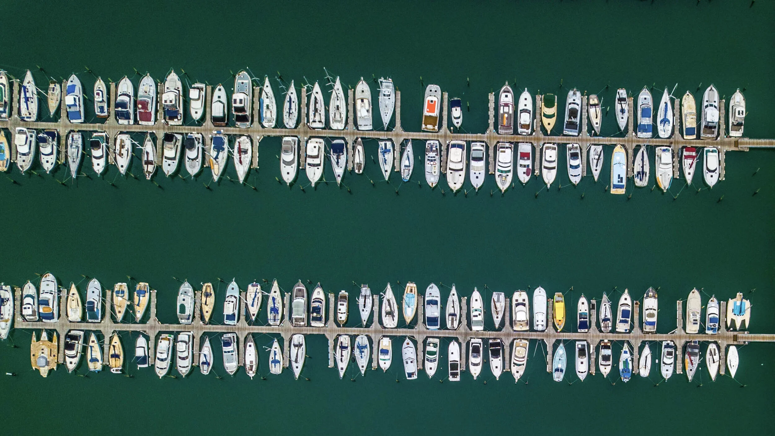 Tauranga drone photography