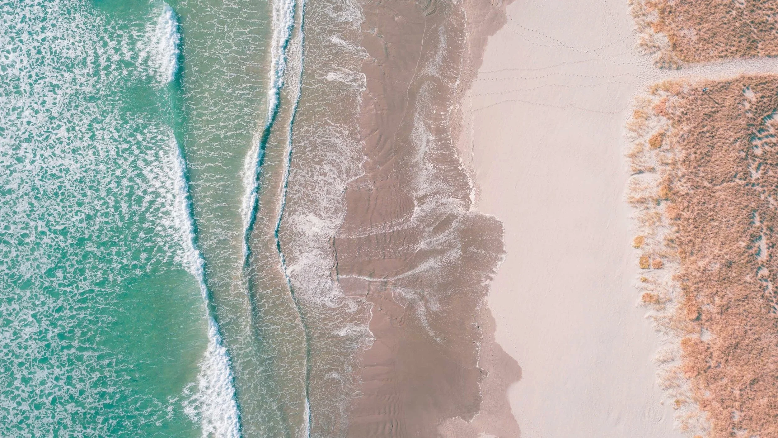 social media marketing Tauranga 