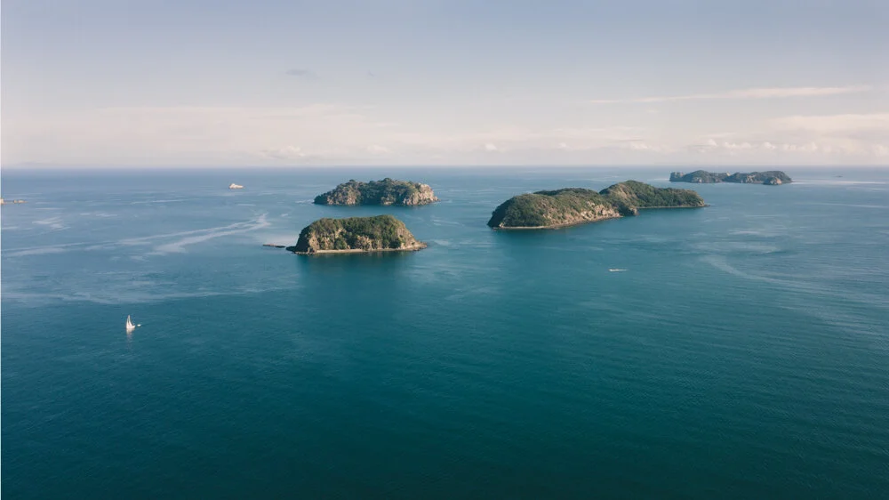 Drone content Tauranga 