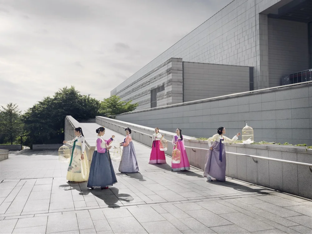 Korea_Birdcage_1000.jpg