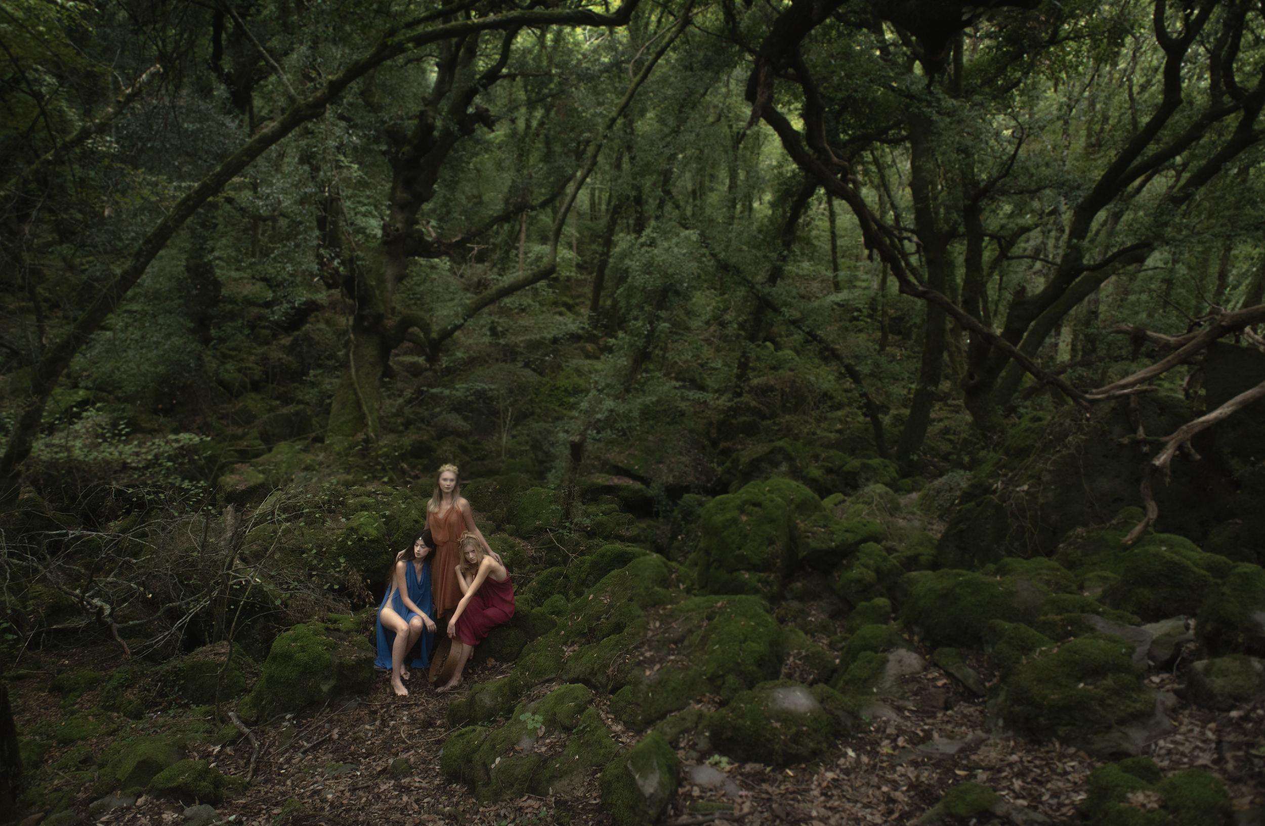 Schermata 2023-05-30 alle 16.23.47.png