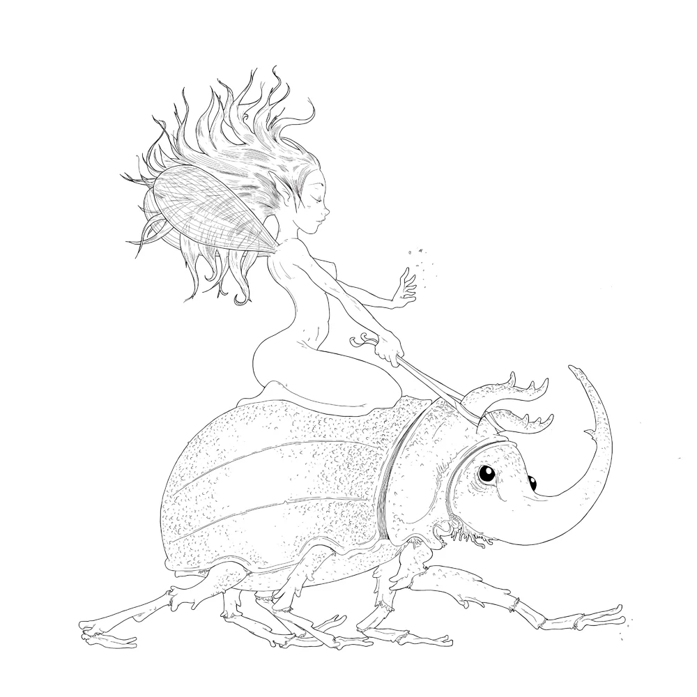 fairy_beetle.jpg