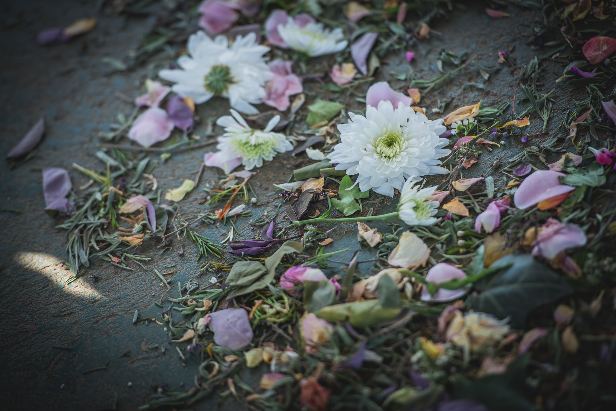 Cloe & Stephen - Ceremony - Web Res (25 of 186).jpg