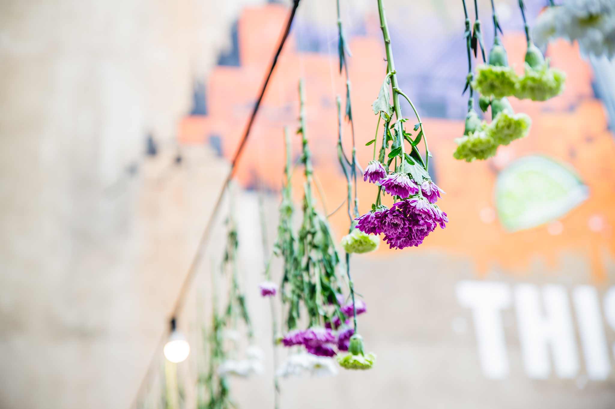_DSC8280.jpg