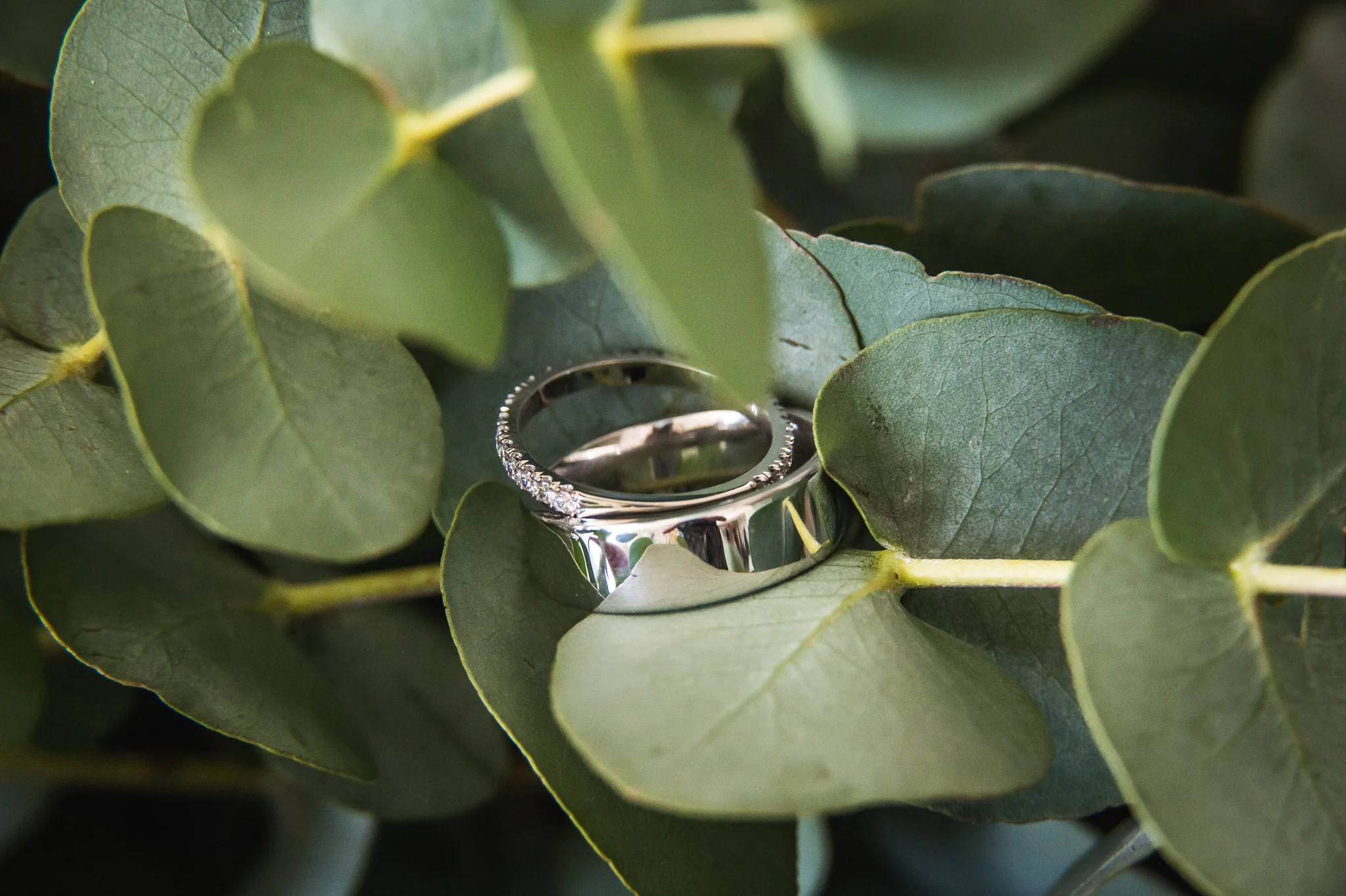 Sneak Peak (7 of 97).jpg