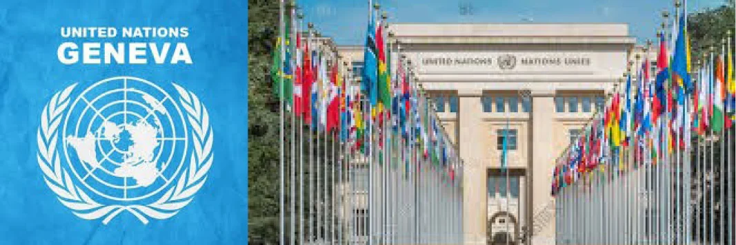 Young Marist Seeks International Experience Placement: Marist international Advocacy Office; Fratelli Project, Lebanon Volunteer: Patrick Cooke May 2019