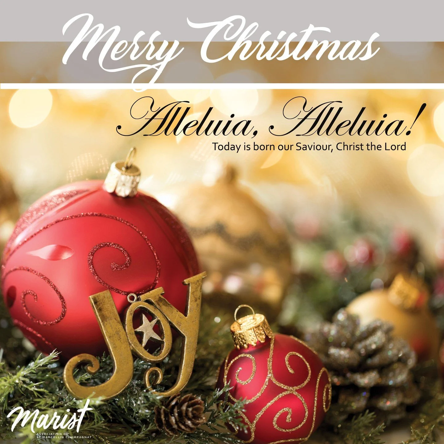 In the beginning was the Word: the Word was with God and the Word was God. 
John 1:1

Merry Christmas everyone! May peace, love and joy be with you and your families and communities. Rejoice!

#wemarists