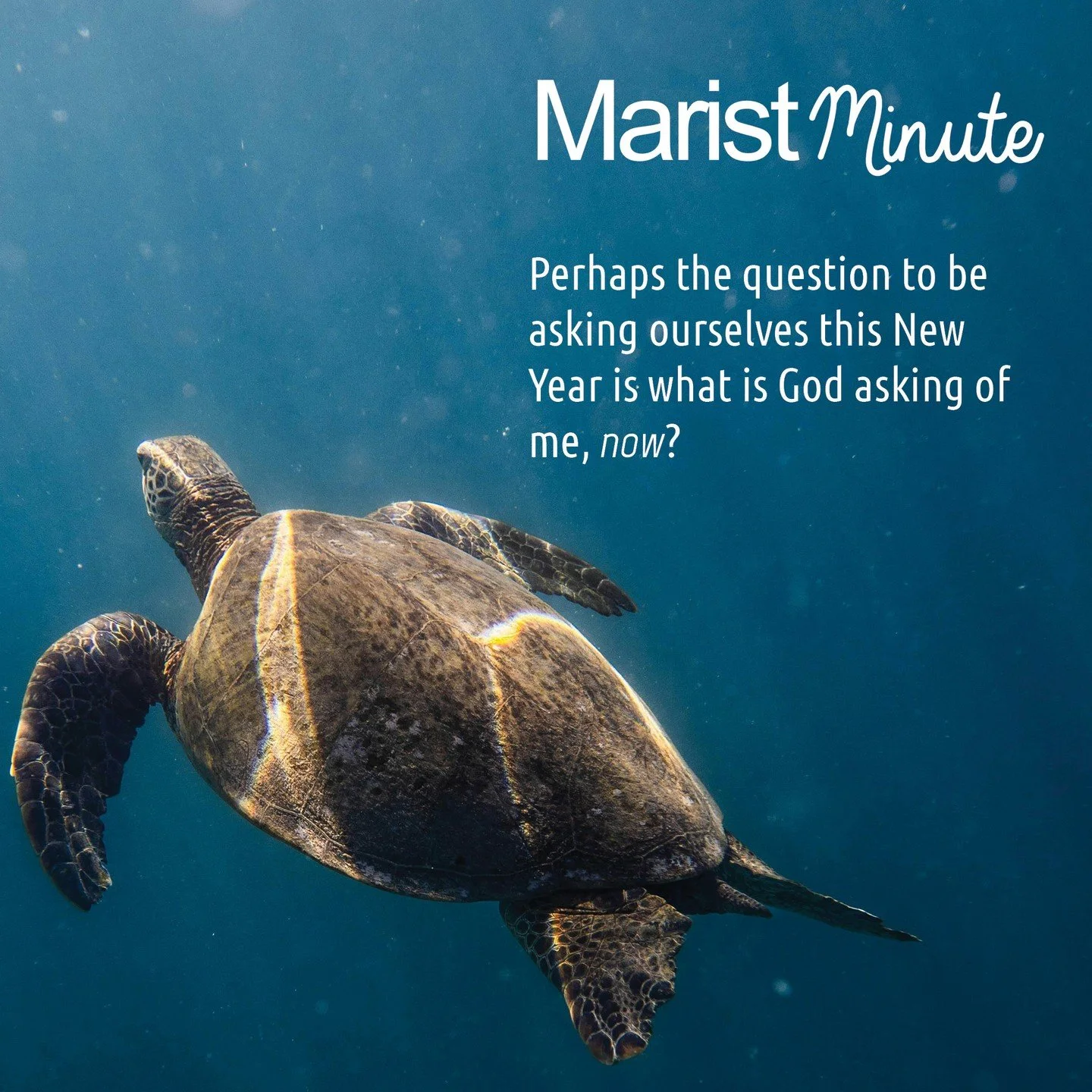 So, what is God asking of you, now?
Let this be your New Year&rsquo;s resolution!
Take a quiet moment to ponder this month's Marist Minute reflection https://buff.ly/u0xcnxO
More reflections here https://buff.ly/DtORmsX
#wemarists #maristformation #s