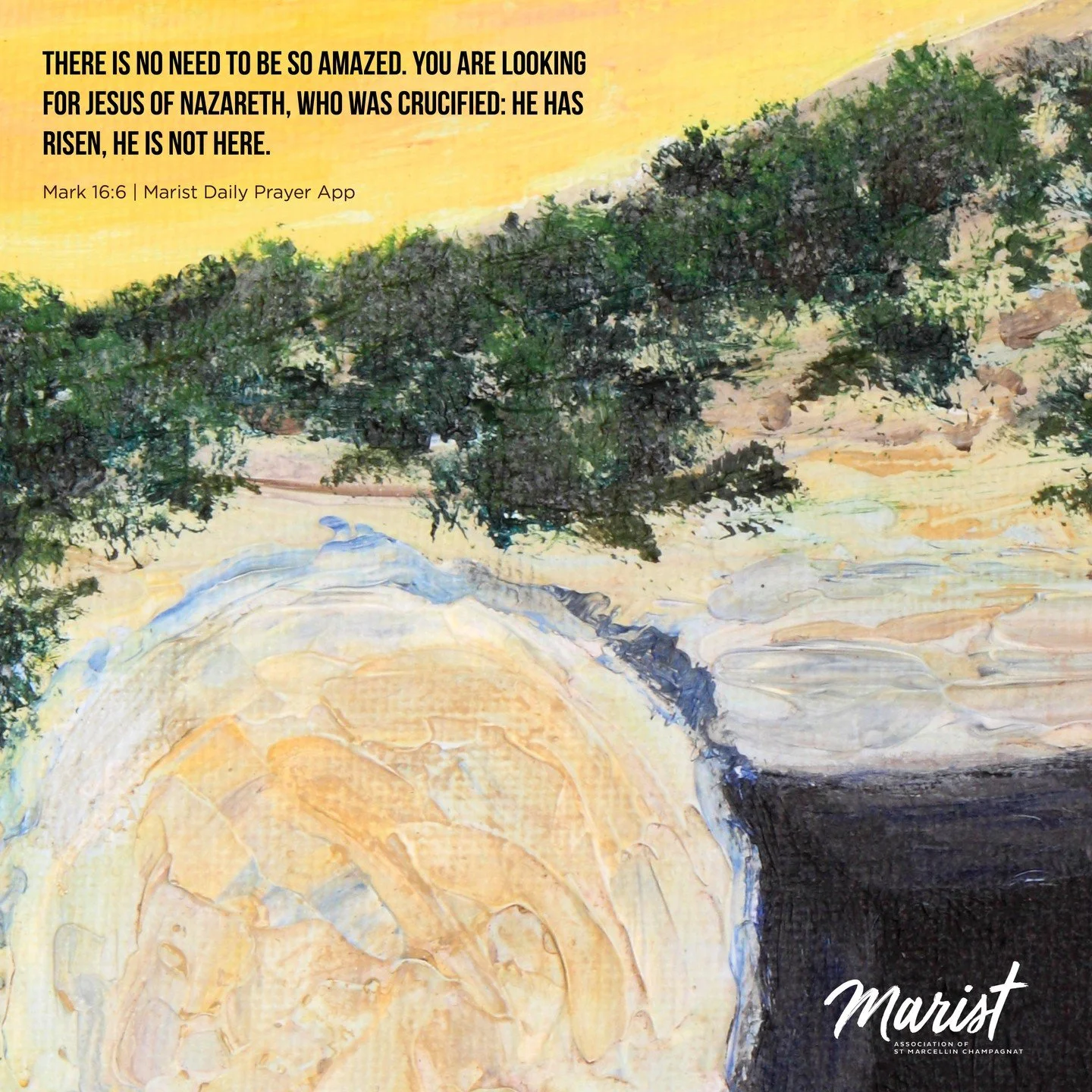 As we gather in the dark and wait for the light, we&rsquo;re reminded to trust, as Mary did.
From night into dawn, we celebrate God&rsquo;s promise of new life.
May the risen Christ renew our hearts and strengthen our Marist family with hope and with